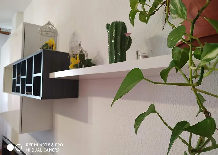 Apartment Piso Plaza De Flores *